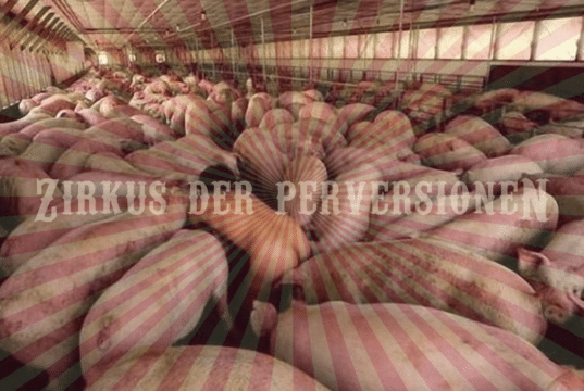 Petplay – Sie benehmen sich beim Sex wie Schweine Petplay ist ein Kink Du Sau.